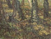 Vincent Van Gogh Tree Trunks with Ivy (nn04)
